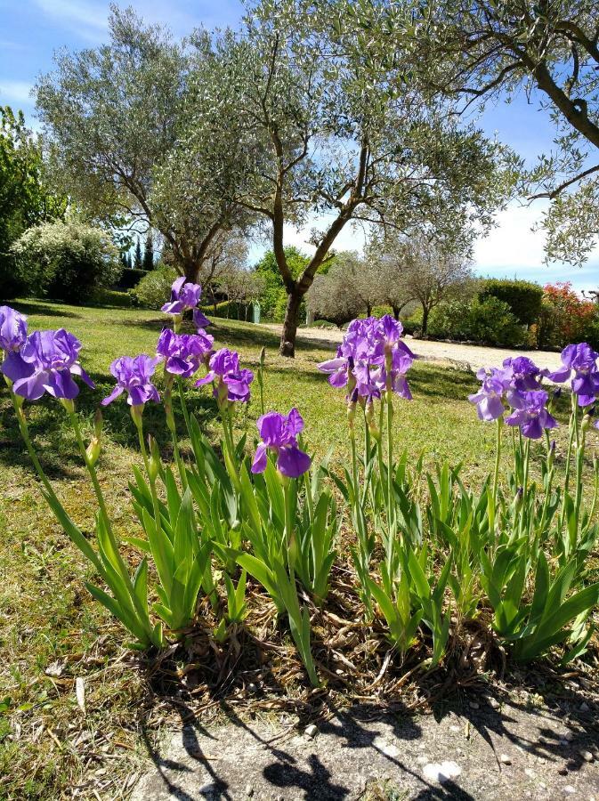 L'Abricotier Villa Malaucène Kültér fotó